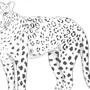 Как Нарисовать Леопарда