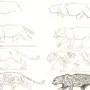 Как нарисовать леопарда