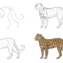 Как Нарисовать Леопарда