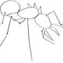 Как нарисовать муравья ребенку