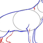 Как нарисовать овчарку