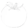 Как нарисовать помидор