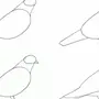 Как Легко Нарисовать Птичку