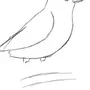 Как легко нарисовать птичку