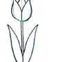 Рисунок 3 тюльпана