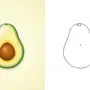 Как нарисовать авокадо поэтапно легко