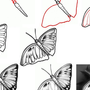 Как нарисовать бабочку 1 класс