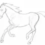 Как Нарисовать Бегущую Лошадь