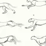 Собака бежит рисунок