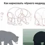 Белый медведь рисунок для детей карандашом