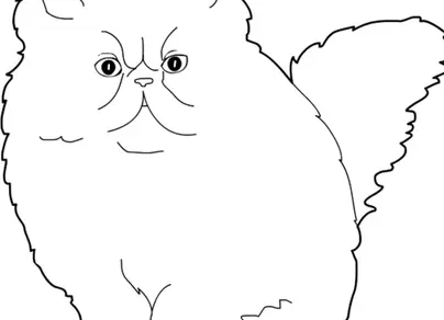 Как нарисовать вислоухую кошку