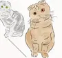 Как Нарисовать Вислоухую Кошку