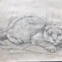 Как нарисовать вислоухую кошку