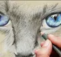Как Нарисовать Глаза Кошки