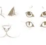 Как нарисовать глаза кошки