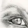 Как нарисовать глаза собаки