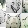 Голова волка рисунок