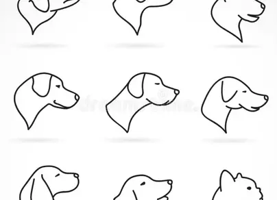 Голова собаки рисунок