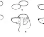 Голова собаки рисунок