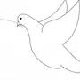 Как нарисовать голубя