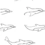 Как Нарисовать Дельфина