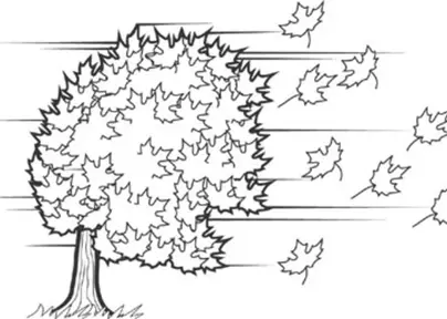 Как нарисовать дерево клен