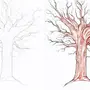 Как нарисовать дерево красиво и легко
