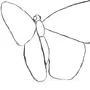 Бабочка простой рисунок
