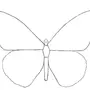 Бабочка Простой Рисунок