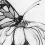Бабочка На Цветке Рисунок