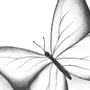 Бабочка Рисунок Для Детей