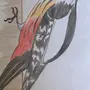 Как Нарисовать Дятла