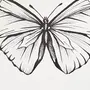 Бабочка рисунок карандашом