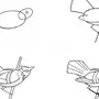 Как нарисовать жаворонка карандашом поэтапно для детей