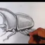 Как нарисовать жука носорога
