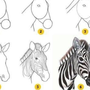 Как Нарисовать Зебру Для Детей