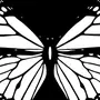 Бабочка Рисунок Черно Белый