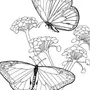 Бабочки Для Букета Нарисовать