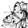 Бабочки для букета нарисовать