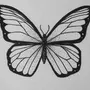 Бабочки для срисовки