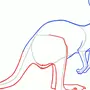 Как нарисовать кенгуру для детей