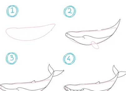 Как нарисовать кита ребенку
