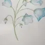 Как нарисовать колокольчик цветок