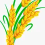 Нарисовать пшеницу