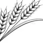 Нарисовать пшеницу
