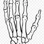 Как нарисовать кости на руке