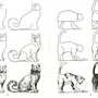 Как Нарисовать Кошку 2 Класс