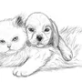 Как нарисовать кота и собаку