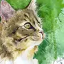 Как нарисовать кошку акварелью