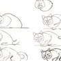 Как Легко Нарисовать Кошку